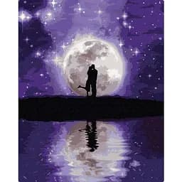 Картина по номерам Brushme Сказочные объятия BS52861, 40х50см