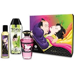 Подарочный набор Shunga FRUITY KISSES