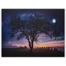 Картина зі світловими ефектами Devilon Нічне небо із повним місяцем, який світиться 1 LЕD лампа 30х40 см (940225)