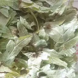 100 г граб звичайний цвіт сушений - свіжий урожай