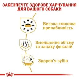Сухий корм для дорослих собак породи Чихуахуа Royal Canin Chihuahua Adult, 3 кг (2210030) - мініатюра 6