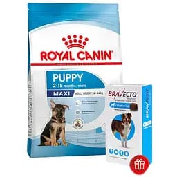 Сухий корм для цуценят великих порід Royal Canin Maxi Puppy з м'ясом птиці і рисом 15 кг + Жувальна пігулка Bravecto від бліх і кліщів для собак з вагою від 20 до 40 кг 1 шт.
