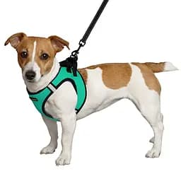 Шлея для собак Bronzedog Sport Vest M 24х18х3 см бірюзова - мініатюра 2