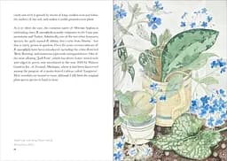 The Book of Garden Flowers - мініатюра 6