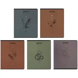 Набор школьных тетрадей Kite Harry Potter 24 листа в линию 20 шт. (HP25-239)