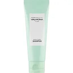 Шампунь для волос Valmona Ayurvedic Scalp Solution Black Cumin Shampoo, 100 мл