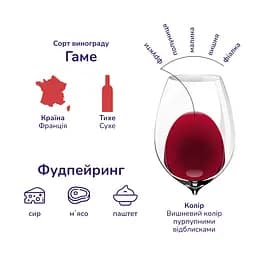 Вино Bertrand de Tavernay Beaujolais Nouveau, 13%, 0,75 л (593444) - мініатюра 2