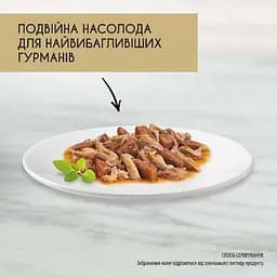 Уцінка. Вологий корм для котів Gourmet Gold Подвійне задоволення з качкою та індичкою 85 г   - мініатюра 4