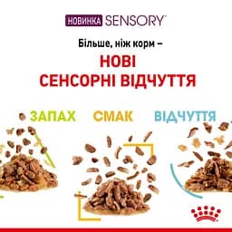 Вологий корм для дорослих котів Royal Canin Taste Jelly, шматочки в желе, 85 г - мініатюра 4