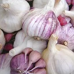 Часник посадковий (зубчики) "Одеський" Україна 0,5кг (25635)