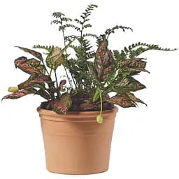 Вазон TeraPlast Marte Terra Tenue 23 см (18203023509)