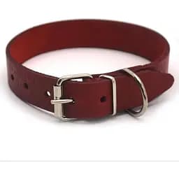 Нашийник для собак Zoo-hunt ОТ Кісточка шкіряний тиснений червоний 1,8/28-36 см