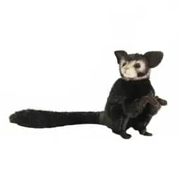 М'яка іграшка Hansa Айе-айе, 20 см (5166)