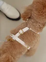 Комплект аксесуарів для собак (шлея+повідець+диспенсер) молочний 5м - мініатюра 8