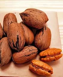 Саджанець Agro-Market Горіх Пекан Caddo саджанець 2 роки (приємний солодкий смак, відсутність гіркоти) 1 шт. в упаковці (178755)