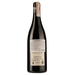Вино Thierry Germain Domaine des Roches Neuves Saumur-Champigny Outre Terre 2017 АОС/AOP, 12,5%, 0,75 л (766693) - мініатюра 2