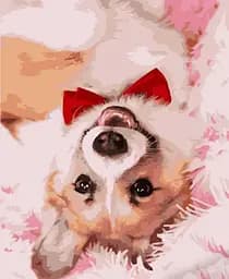 Набір для розпису по номерах Коргі з краваткою, Strateg, 40x50 см, HH012