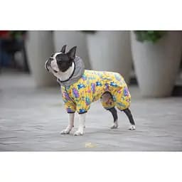 Комбінезон для собак Waudog Clothes, Рік та Морті 3, M35 - мініатюра 2