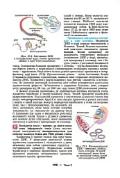 Біологія і екологія 10 клас - мініатюра 5