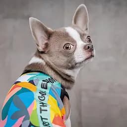 Майка-борцовка Pet Fashion Cool для собак, розмір XS, з принтом - мініатюра 4