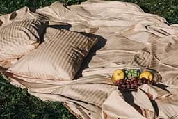 Комплект постельного белья сатин Champagne бежевый - двухспальный