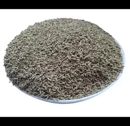 Аніс Насіння Ганус Pimpinella anisum 1 кг