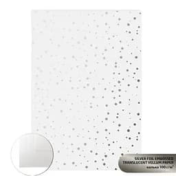Калька напівпрозора з тисненням „Silver Drops“, 21х29,7см, 100 г/м2, ROSA TALENT