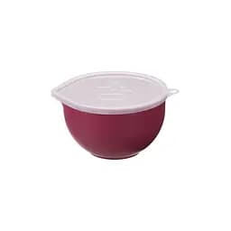 Миска для міксера Plast Team з кришкою 0.5 л (2510) - мініатюра 3