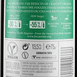 Вино Torres San Valentin Tinto, червоне, сухе, 14,5%, 0,75 л (36530) - мініатюра 3