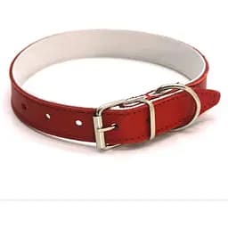Нашийник для собак Zoo-hunt ОД Фарби шкіряний подвійний червоний 1,2/20-25 см