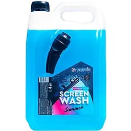 Омивач скла Synoptic Ейфорія літній з лійкою 4 л