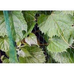Сітка для захисту від птахів Bradas BIRD NET 7 г/м² 8x8 м AS-BN71919808  - мініатюра 2