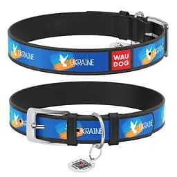 Нашийник для собак шкіряний Waudog Design з QR-паспортом "Прапор" XS Ш 12 мм Д 20-28 см чорний