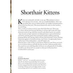 Kittens - Олдертон Девід - мініатюра 2
