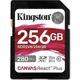 Карта пам'яті Kingston SD 256GB C10 (SDR2V6/256GB)