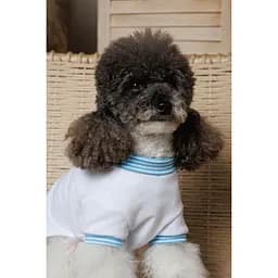 Футболка Pet Fashion Polo для собак ХXS - мініатюра 6