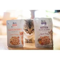 Вологий корм для кошенят Brit Care Kitten Fillets in Gravy Tender Turkey - мініатюра 3
