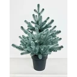 Ялинка Hvoya Traditional лита в горщику 50 см блакитна новинка