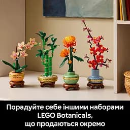 Конструктор LEGO Botanicals Міні орхідея 274 деталі (10343) - мініатюра 14