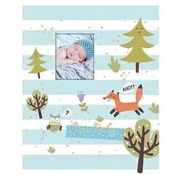 Фотоальбом UFO Blue fox, ламінований картон, 15х10 см (PP-46200 Blue fox)