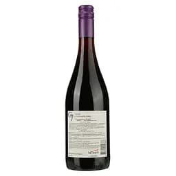 Вино G7 Syrah червоне сухе 0.75 л - мініатюра 2
