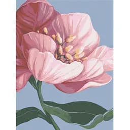 Картина за номерами Brushme Квітни © Yana Biluhina RBS53759 30x40 см