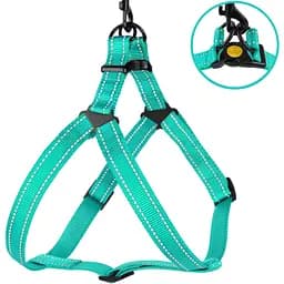 Шлея для собак Barksi Active світловідбивна (обхват грудей 40-53 см ширина 1.6 см) ментолова - мініатюра 2