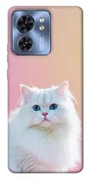 Чохол Demsky Pastel kitty для Motorola Edge 40