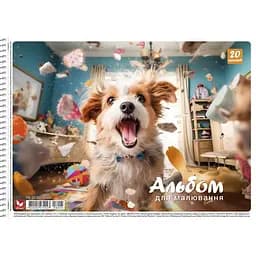 Альбом для малювання Школярик A4 спіраль 20 аркушів (PB-SC-020-8005-2)