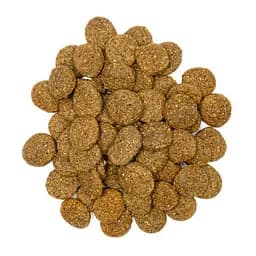Корм сухий Profine Large Chicken and Potatoes для дорослих собак великих порід, з куркою та картоплею, 12 кг - мініатюра 3