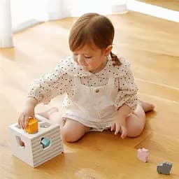 Дерев'яний сортер з брязкальцем Viga Toys PolarB Будиночок для звірят (44052) - мініатюра 4