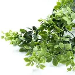 Штучна гілка Engard Eucalyptus 65 cм (AV-03) - мініатюра 7