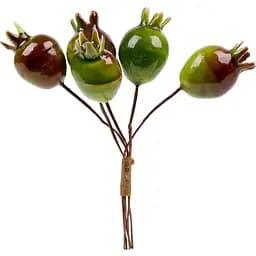 Декоративний гранат Yes! Fun глянцевий 22 мм 5 шт./пучок зелений (974145)