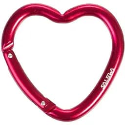 Брелок Salewa Heart Carabiner (1054-013.003.1433)